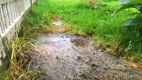 Drops of water drip on a puddle. Vodi flooded the green lawn in the garden Stock Footage 215745193