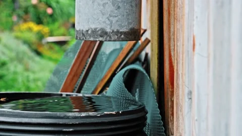 Drops of Water Dripping from Plastic Gutter into Overflowing Plastic Barrel Stock Footage 219829528