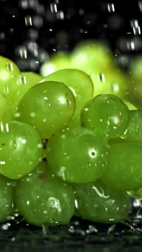 Drops of water fall on a bunch of grapes. Filmed on a high-speed camera at 1000 Stock Footage 335371200