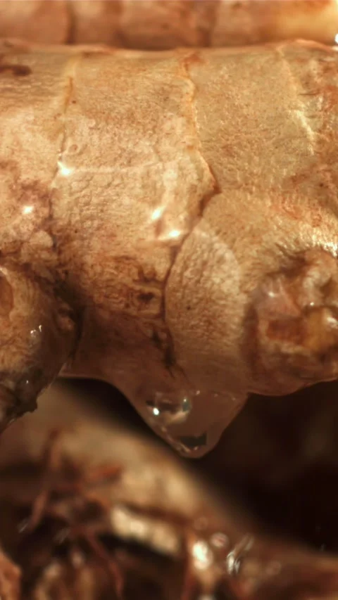 Drops of water fall on fresh ginger. Filmed on a high-speed camera at 1000 fps Stock Footage 335321592