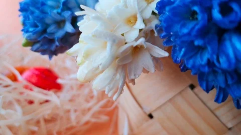 Drops of water fall from hyacinths, Easter eggs among straw. Stock Footage 104763121