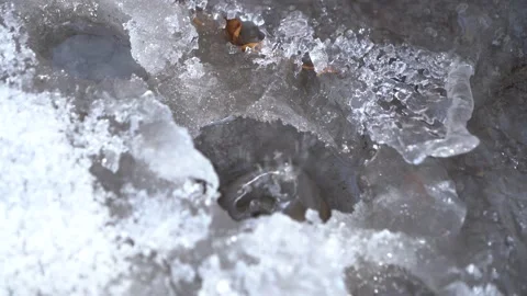 Drops of water fall on ice, spring in the mountains Stock Footage 147572364