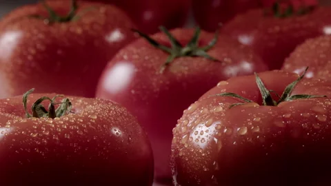 Drops of water fall on a red tomato on a background of ripe tomatoes with drops Stock Footage 268432638
