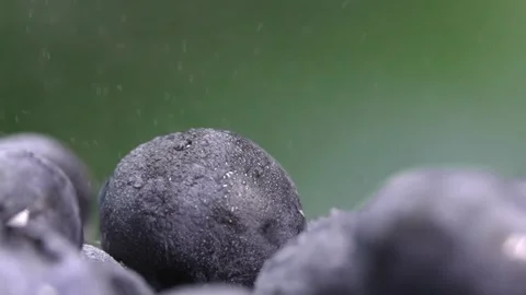 Drops of water fall on ripe sweet blueberries. Stock Footage 248900976