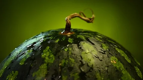 Drops of water fall on watermelon Stock Footage 119371570