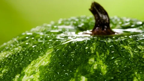 Drops of Water Fall on Watermelon HD Stock Footage 80448061