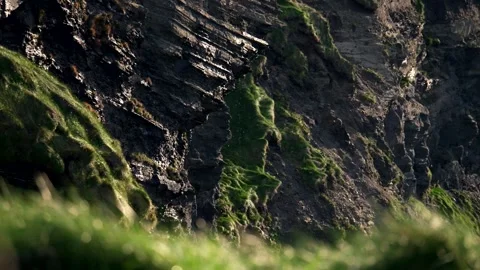 Drops of water falling from cliffs. Super slow motion 4K Видео 330126495