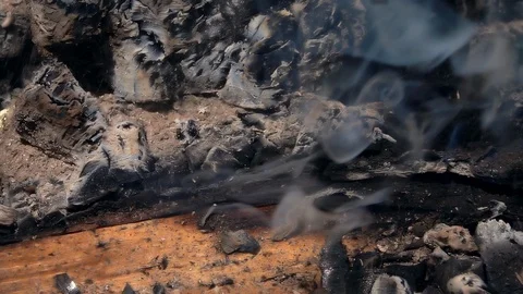 Drops of water falling on firewoods of burning down campfire. Super slow motion Vidéo 98740590