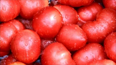 Drops of water falling on ripe tomatoes Stock Footage 77862241