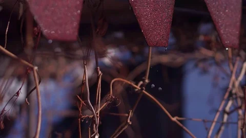 Drops of water falling from the roof Stock Footage