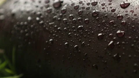 Drops of water flow down the surface of an eggplant Stock Footage 236542478