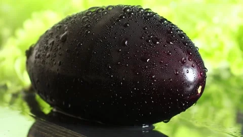 Drops of water flow down the surface of an eggplant Stock-Footage 236542551
