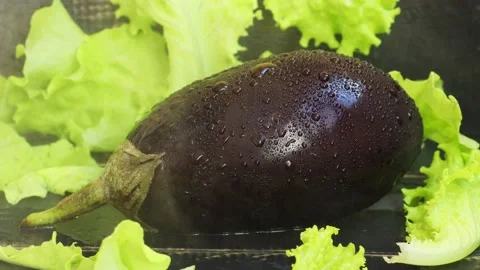 Drops of water flow down the surface of an eggplant Stock Footage 236542568