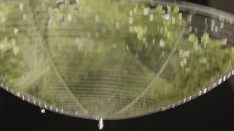 Drops of water flow from washed leaves of lettuce. Slow motion video Stock Footage 117348581