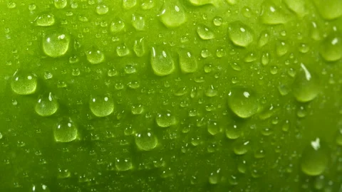 Drops of water flows down a large green apple. Slow motion super close-up Stock Footage 163645612