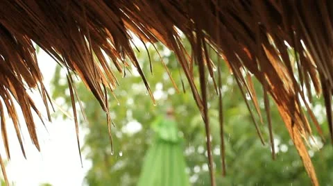 Drops of water. Video stock 11497580