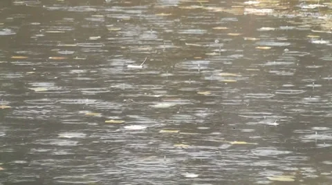 Drops on the water Stock Footage 28559369