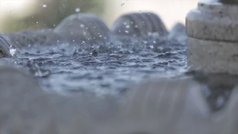 Drops of water Stock Footage 83033710