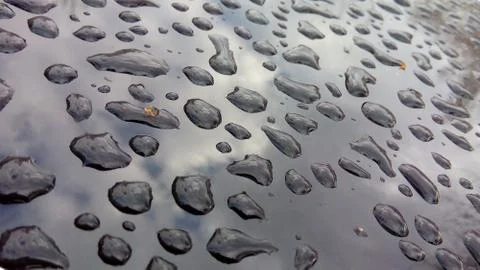 Drops of water on a glossy surface. Reflection of trees in raindrops. The con Stock Photos