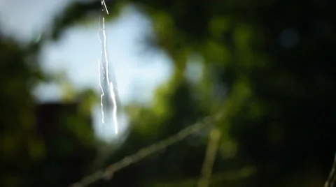 Drops of water in nature Vidéo 29833497