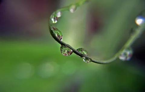 Drops of water Stock Photos