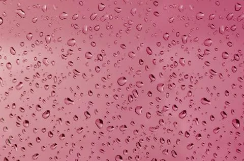 Drops of water Fotos Stock