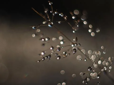 Drops of water Stock Photos