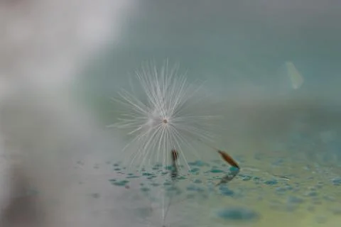 Drops of water. Stock Photos
