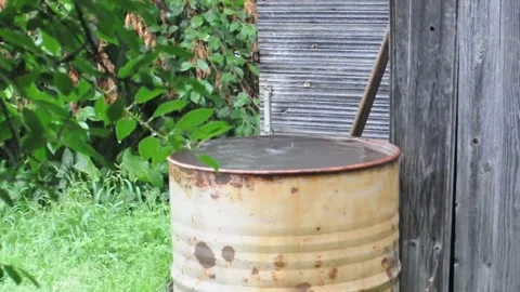 Drops of water from the rain flow into a metal barrel in a rustic garden Video stock 201785707