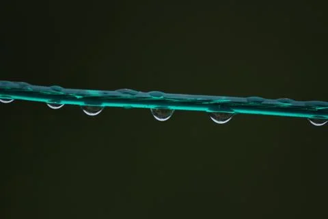 Drops of water in the rain Stock Photos