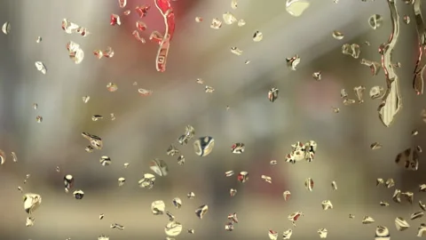 Drops of water on Rainy Day Stock Footage 133471815