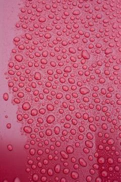 Drops of water on a red background Stock Photos
