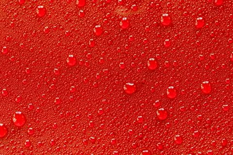 Drops of water on a red background. Stock Photos