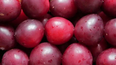 Drops of water on ripe plums. Stock Footage 136980404