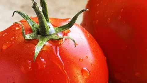 Drops of water on ripe tomatoes Vídeos de archivo 78910066