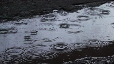 Drops of water ripple cross the surface of the puddle slow motion Stock Footage 165321576