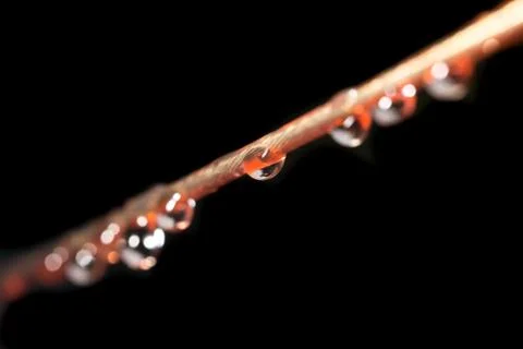 Drops of water on a rope. macro Stock Photos
