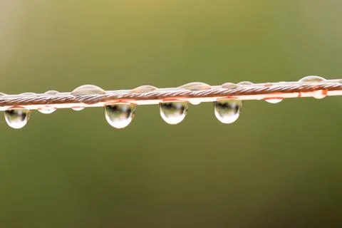 Drops of water on a rope. macro Stock Photos