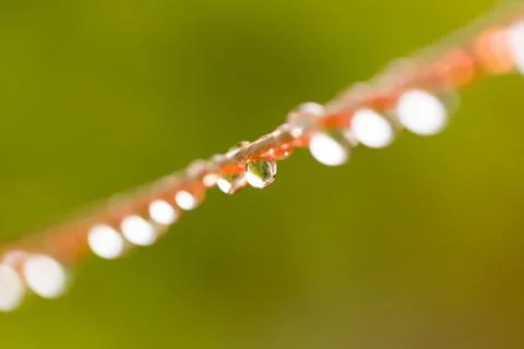 Drops of water on a rope. macro Stock Photos