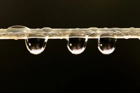 Drops of water on a rope. macro Stock Photos