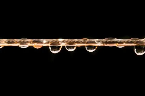 Drops of water on a rope. macro Stock Photos