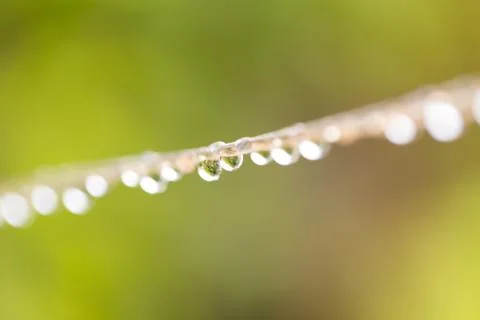 Drops of water on a rope. macro Stock Photos
