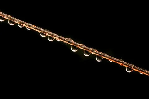 Drops of water on a rope. macro Stock Photos