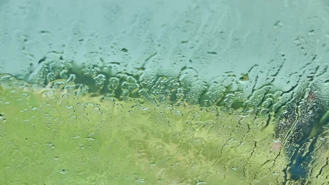 Drops of water run down the glass. Green summer terrain. A man is walking dow Stock Footage 158184167