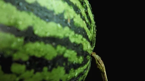 Drops of water run down the watermelon 스톡 동영상 159402162