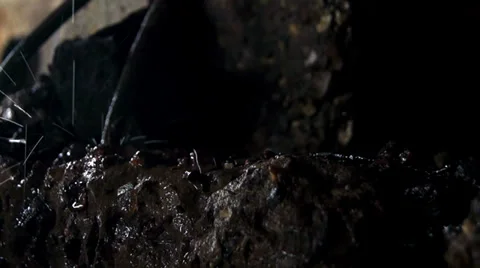 Drops of water on the stone in motion Video stock 39841139