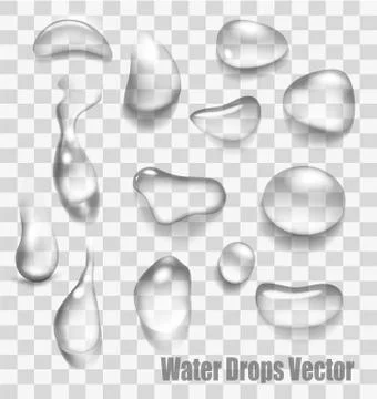 Drops of water on a transparent background. Vector. Stock Illustration