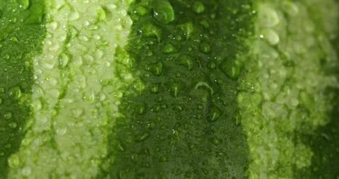 Drops of water on a watermelon. Close-up. Stock Footage 249286643