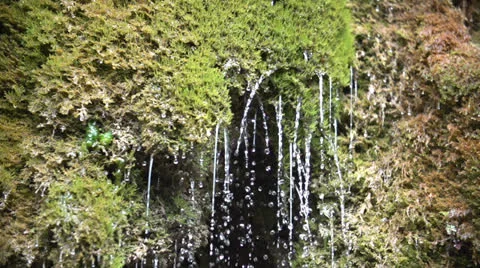 Drops from a waterfall in slow motion (200fps) Stock-Footage 23484086