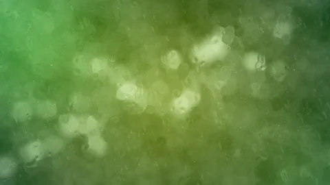 Drops on the Window Stock Footage 75683081